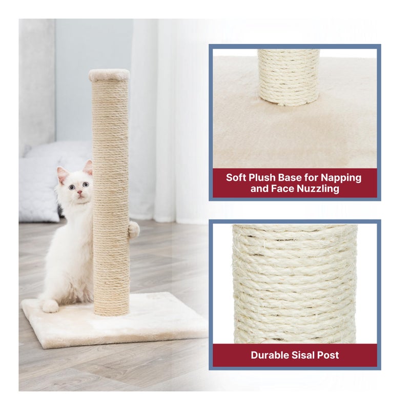 Trixie Parla Cat Scratching Post 24.4 Inch - Cat Scratcher with Soft Fabric Covering Base and Durable Sisal Rope - in Beige - Image 5